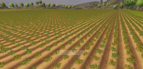 Disabling withering Crops 460x222 Disabling withering Crops